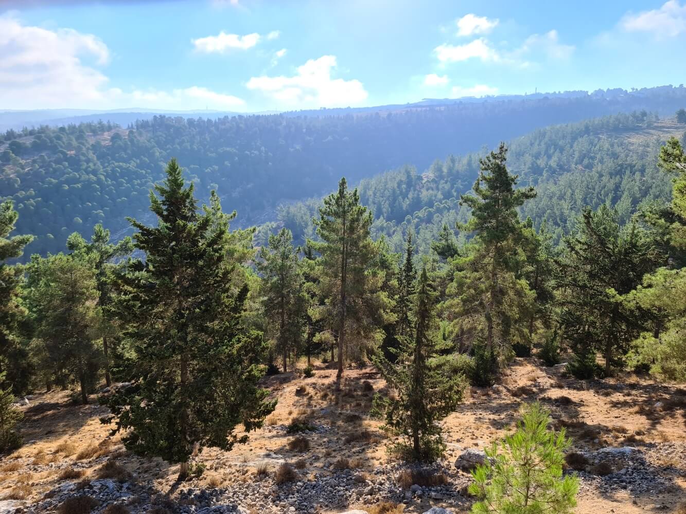 כשהטבע הוא השכן הכי קרוב שלכם