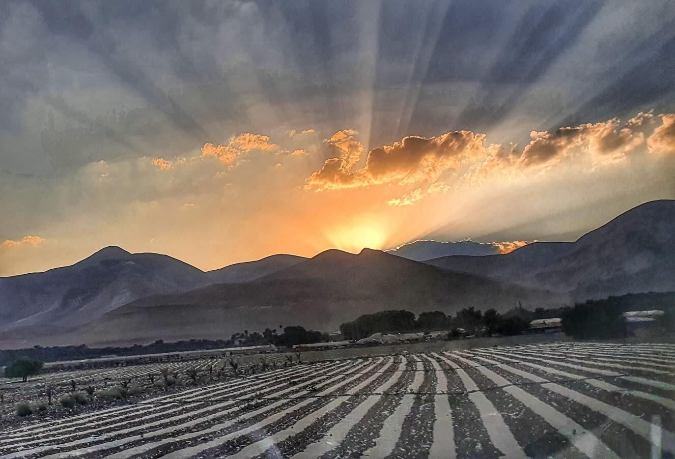 כשהטבע הוא השכן הכי קרוב שלכם